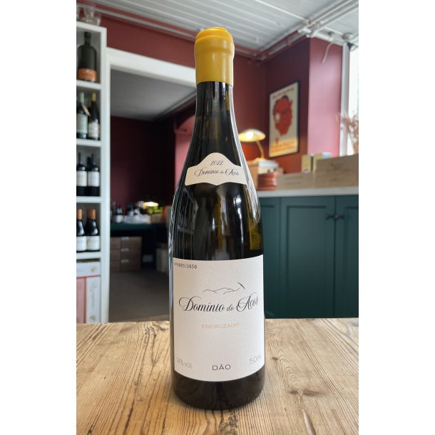 Domnio do Aor Encruzado 2023