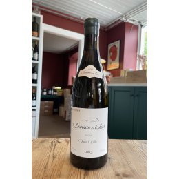 Domnio do Aor Bical 2023