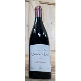 Domnio do Aor rd 2021