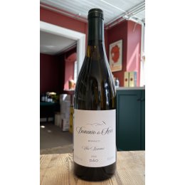 Dominio do Aor Branco 2023