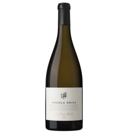 Parcela �nica 2021