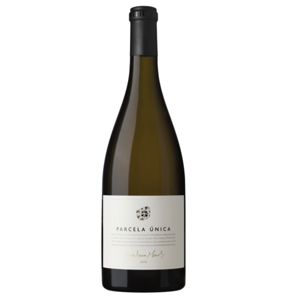 Parcela �nica 2021