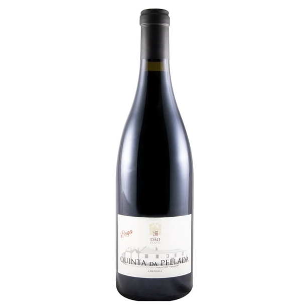 Baga, Quinta da Pellada 2020