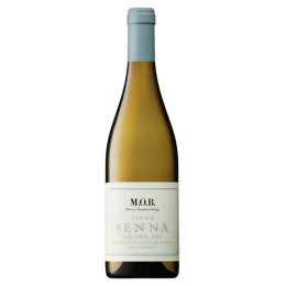 Vinha Senna 2024 hvid, M.O.B.